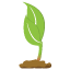 새싹2 새싹2